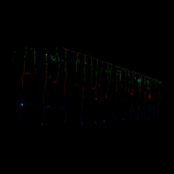 Conecto Isparkle WiFi Icicle RGB 144 led