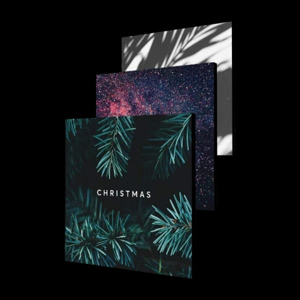 Senic Museblocks pakke 1