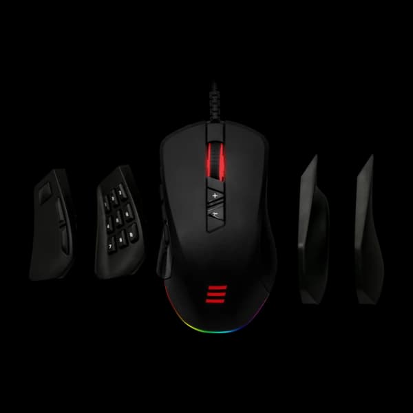 Cepter Gladius mmo-gamingmus