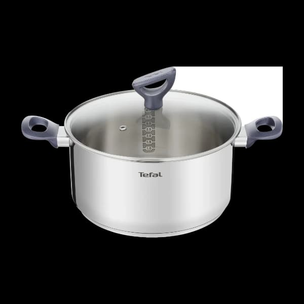 Tefal Daily Cook 24Cm kjele